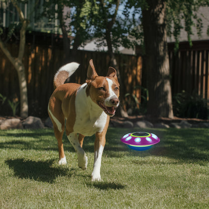 Zavido Magic Fetch Disc™ - – Lichtgevend & Multifunctioneel Speelplezier!